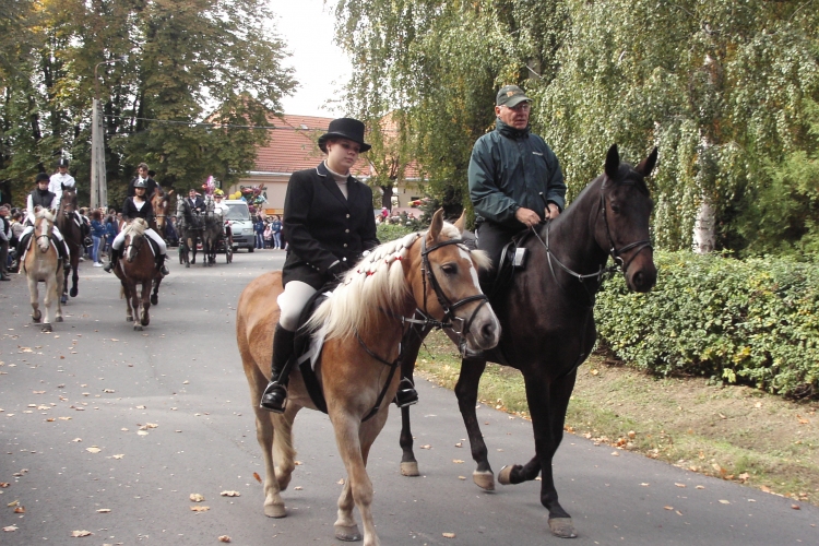 Újdombóvári Őszi Fesztivál 2013